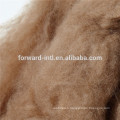 raw material camel hair in natural camel brown colour for coat , sock , hat